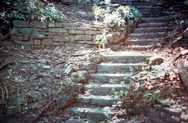 Stone steps along path