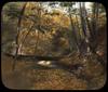 Autumn in the sixth ravine/ photographed by E.E. Parratt ; colored by Charlotte Pinkerton