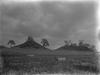 Cahokia mounds : Round top and fore (?) mounds
