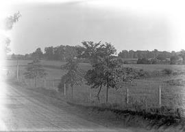 A view of the Lincoln farm.  The road tablet at the boundary of the farm is seen; also the cabin ...