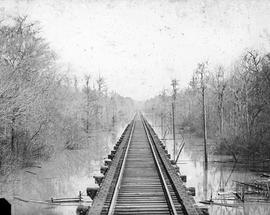 Railroad tracks in wetlands